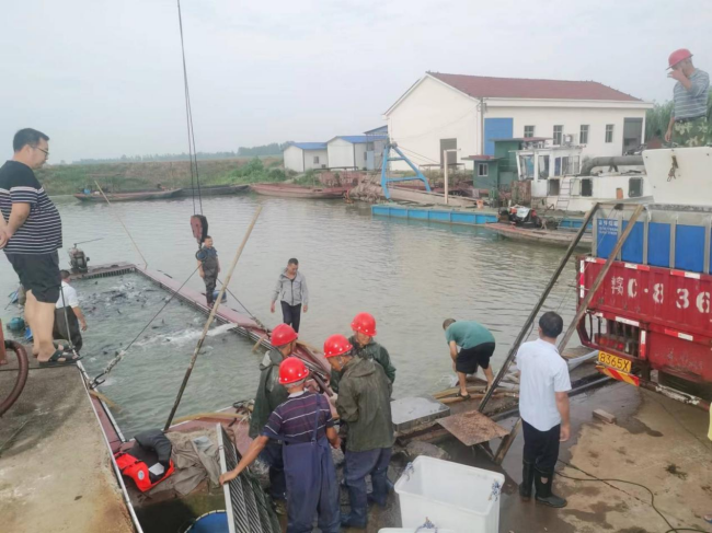 澧縣土地資源,澧縣公共基礎設施,澧縣工商業(yè)信息咨詢,澧縣澧州實業(yè)發(fā)展有限公司